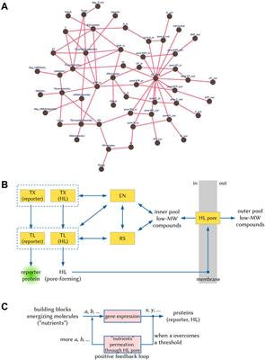 Monitoring the advancements in the technology of artificial cells by determining their complexity degree: Hints from complex systems descriptors